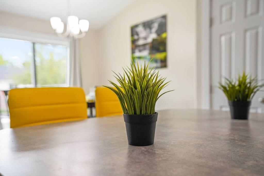 Remodeled, Charming Retreat On The City'S Doorstep Boise Zewnętrze zdjęcie